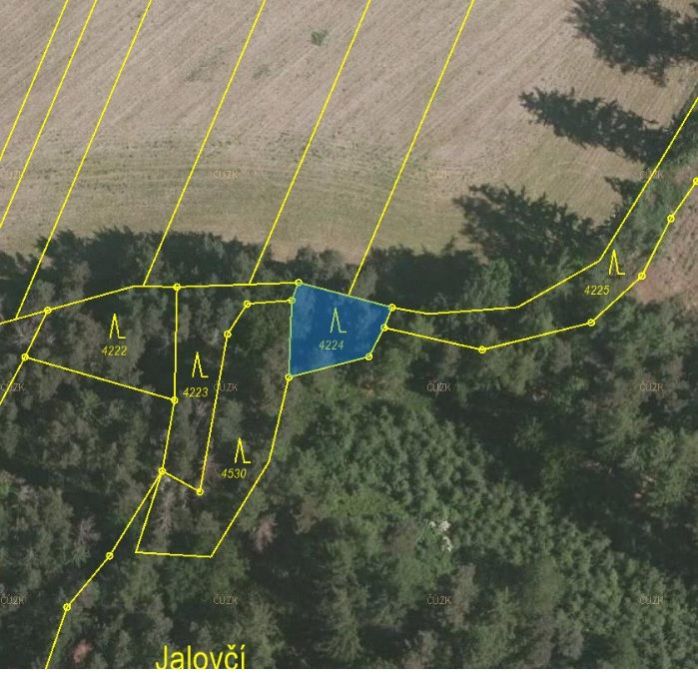 Lesní pozemek o výměře 185 m2, podíl 1/1, k.ú.Kamberk, okres Benešov, obrázek č. 2