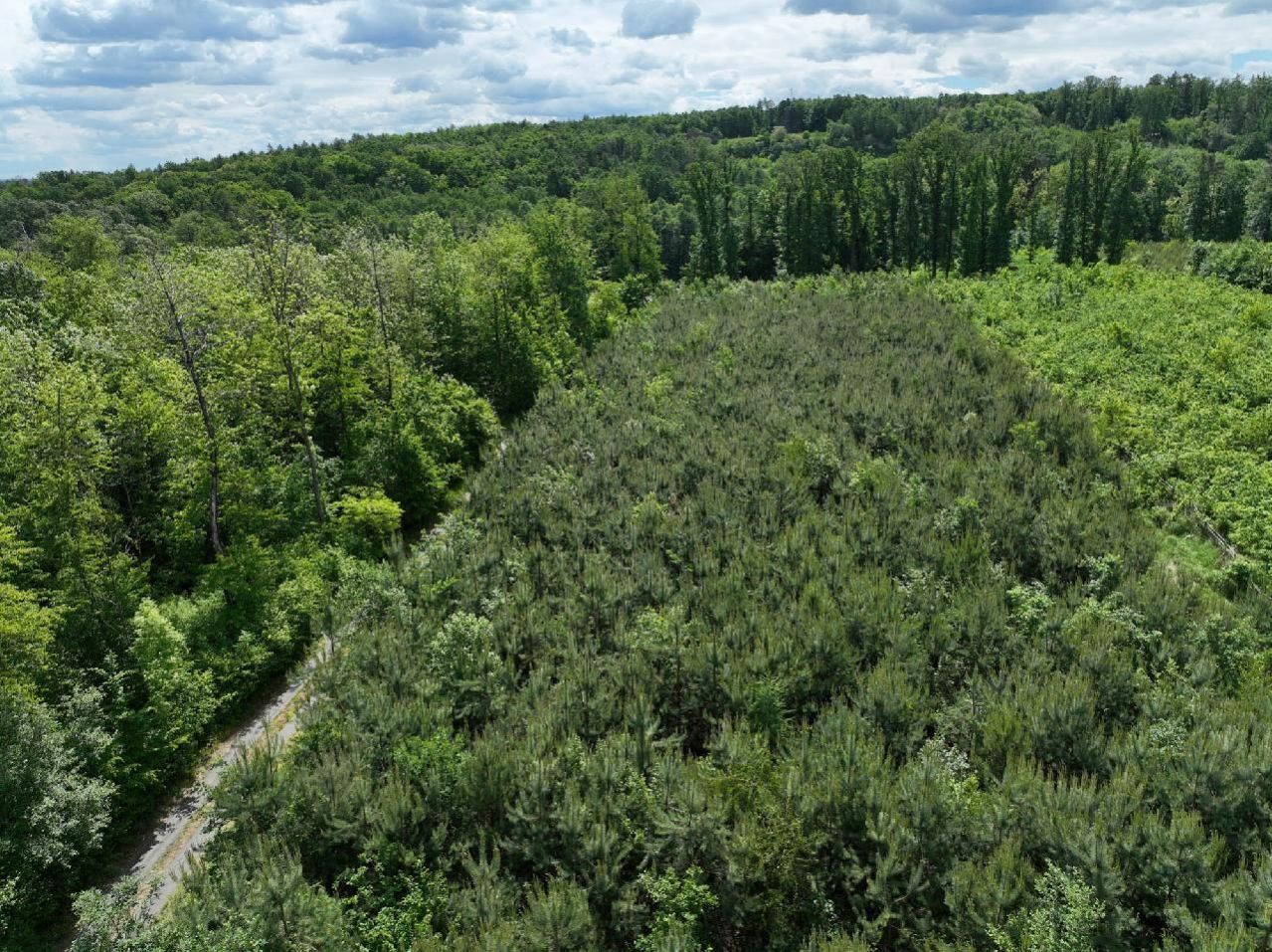 Lesní pozemky o výměře 85 499 m2, podíl 1/1, k.ú. Chrudim, okres Chrudim, obrázek č. 2