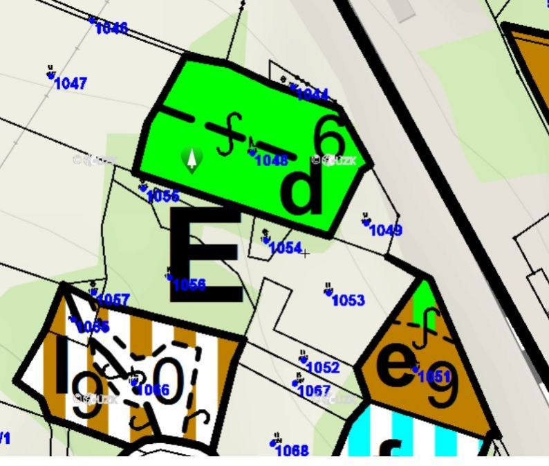 Lesní pozemky a další pozemky o výměře 13 985 m2, podíl 1/1, k.ú. Prosetín u Hlinska, okres Chrudim, obrázek č. 3