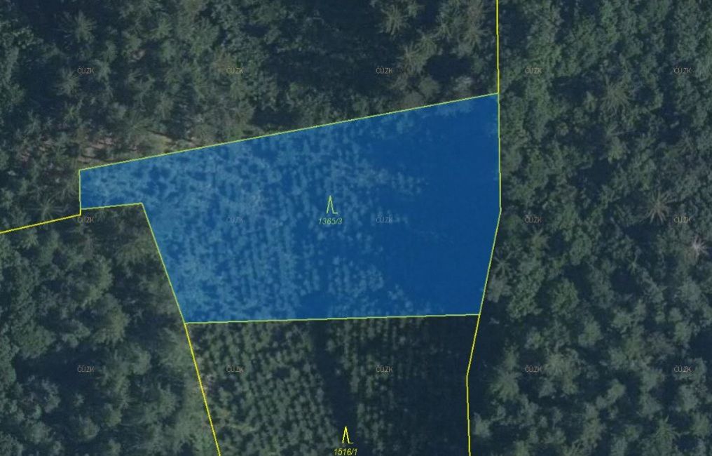 Lesní pozemek o výměře 3 934 m2, podíl 1/1, k.ú. Všemina, okres Zlín, obrázek č. 2