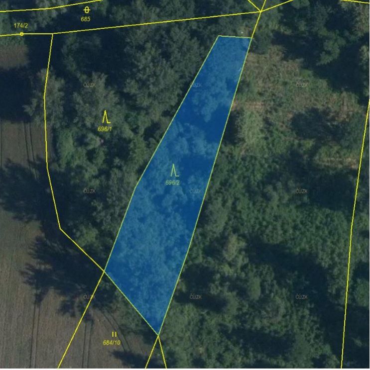 Lesní pozemek o výměře 1 908 m2, podíl 1/1, k.ú. Věřňovice, okres Karviná, obrázek č. 2