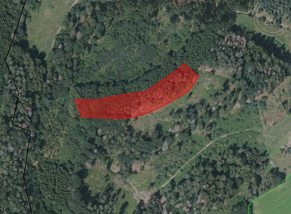 Jamné u Tišnova, lesní pozemek, 4 247 m2, obrázek č. 1