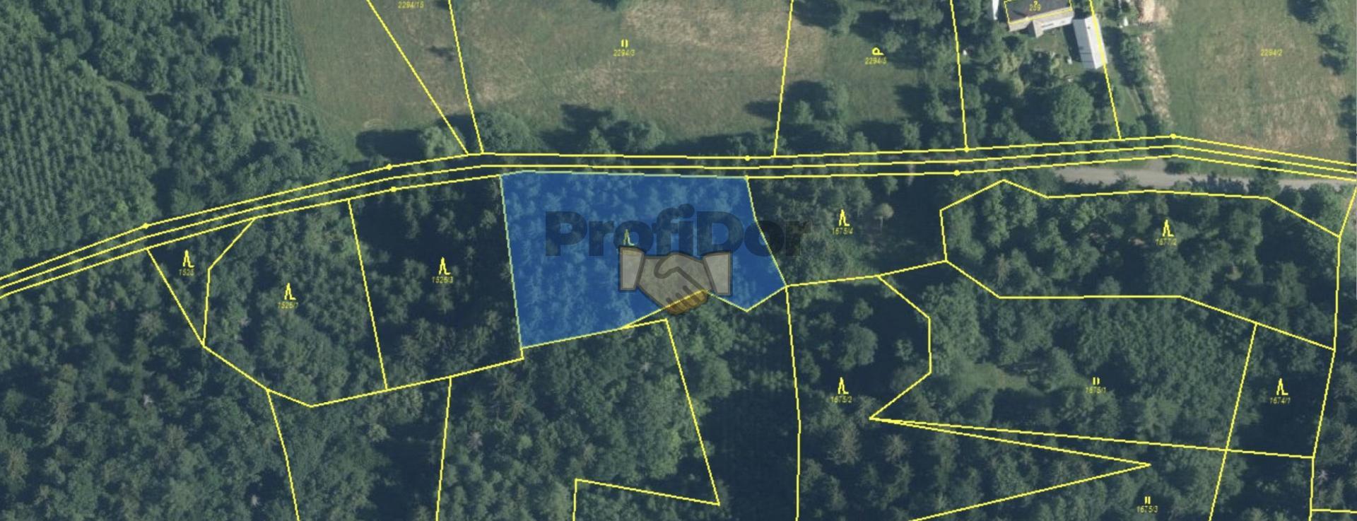 Prodej pozemek les, CP 21 494 m2, Všemina, okres Zlín