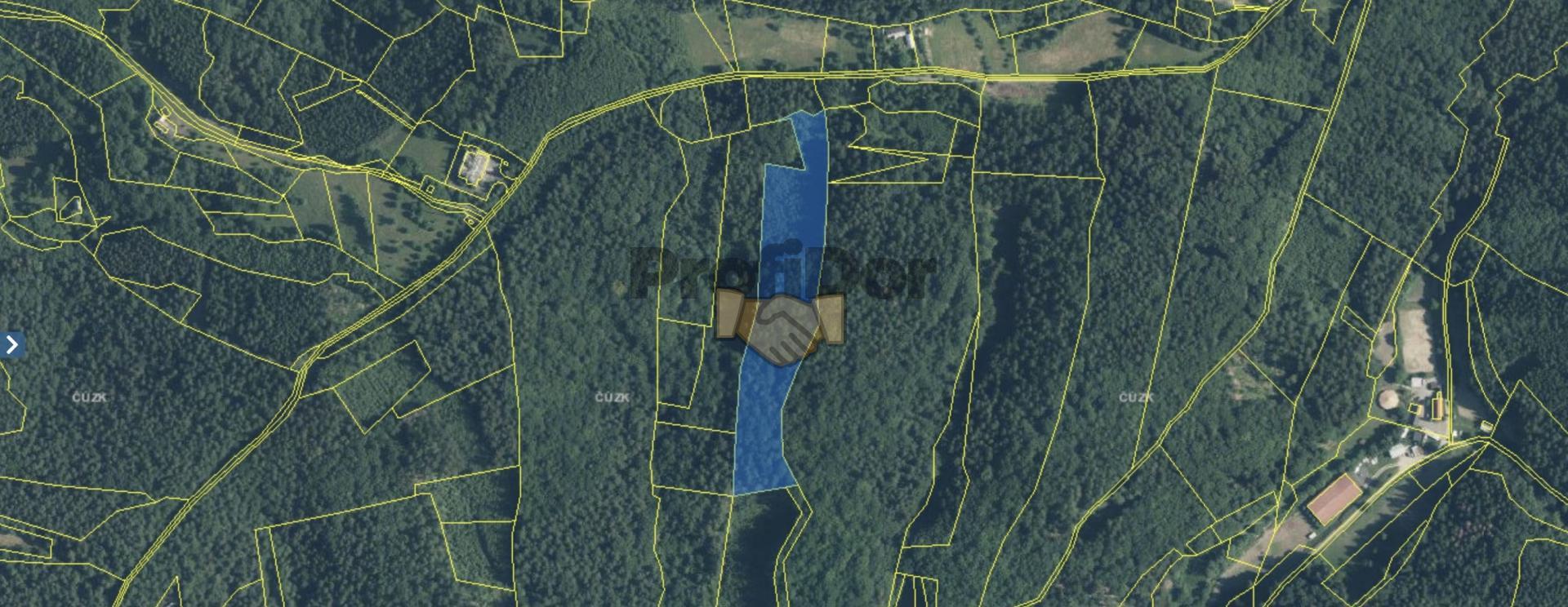 Prodej pozemek les, CP 21 494 m2, Všemina, okres Zlín, obrázek č. 2