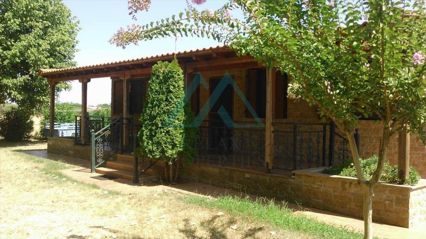 Samostatně stojící bungalov, 700 m od moře, Sithonia, Chalkidiki, Řecko, obrázek č. 2