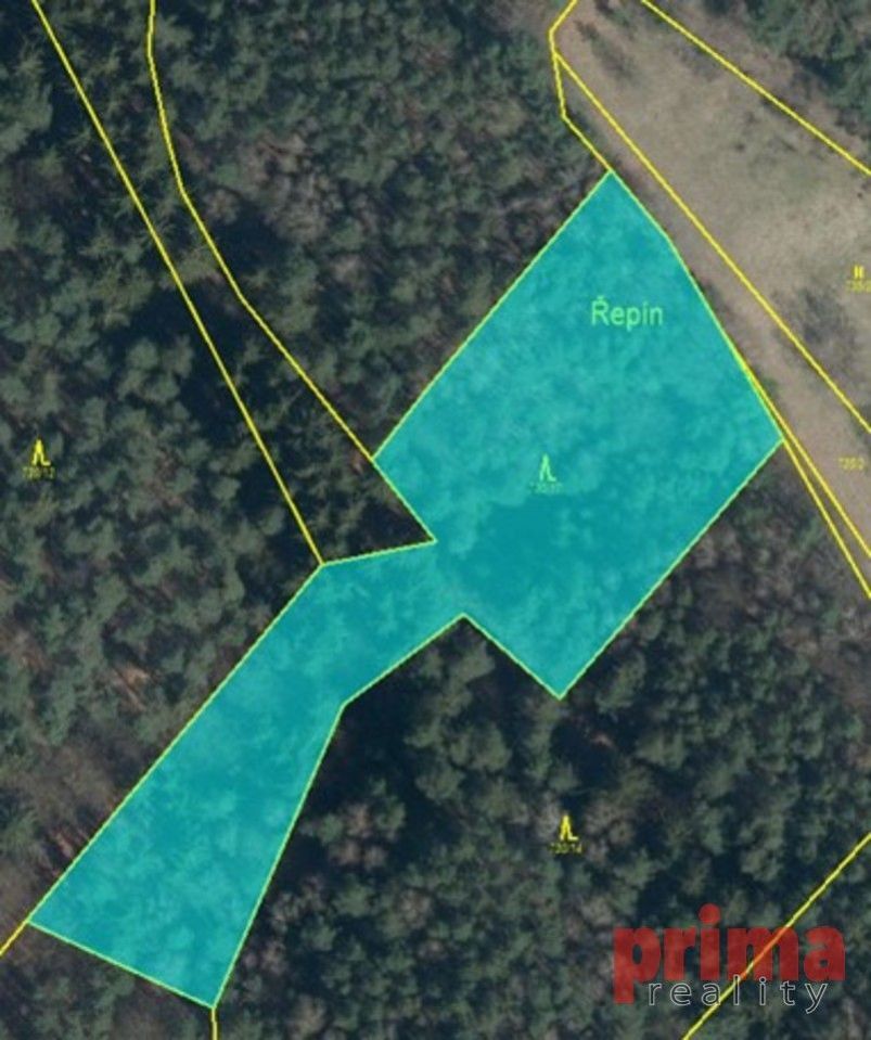 Prodej, les, 6.017m2, Nosálov, obrázek č. 3