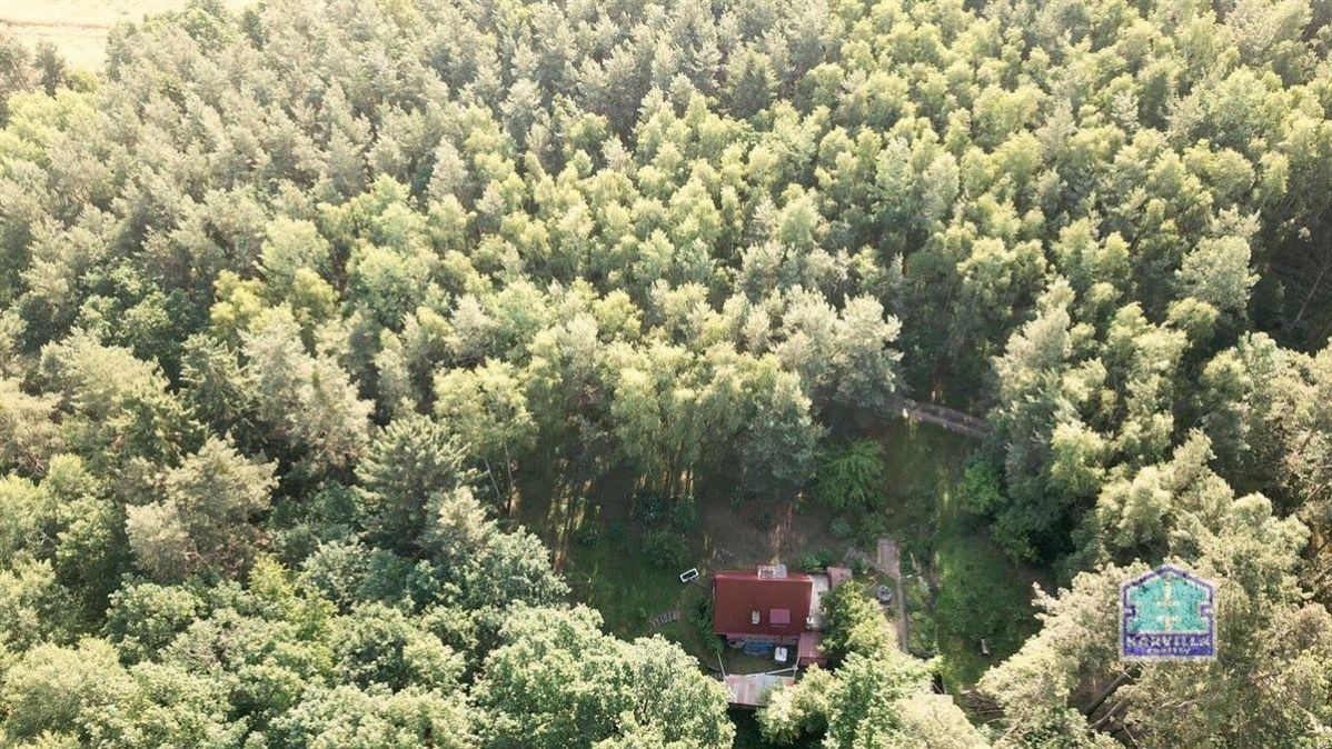 Rekreační chata na samotě - Losiná, okr. Plzeň-město, obrázek č. 3