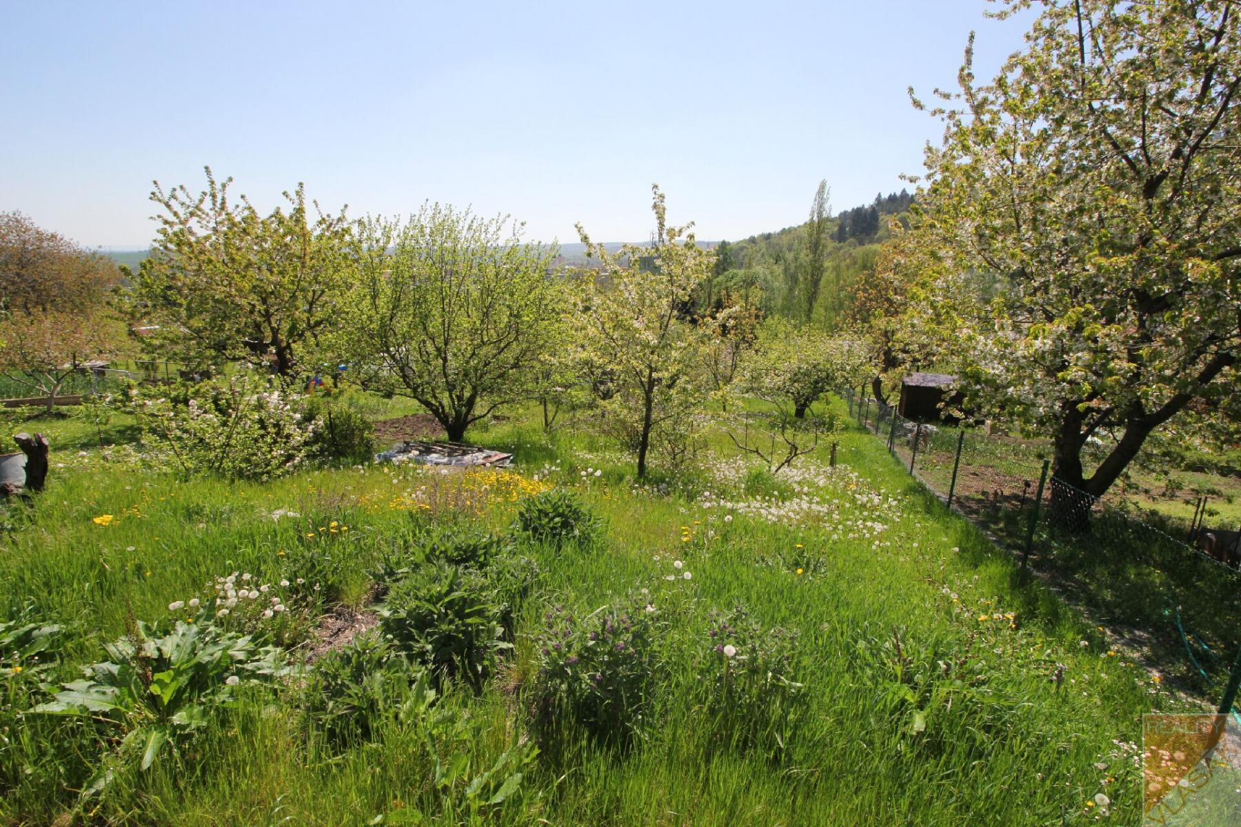 Prodej zahrady s chatkou, zahrádkářská osada ASTRA 4 Kadaň, obrázek č. 2