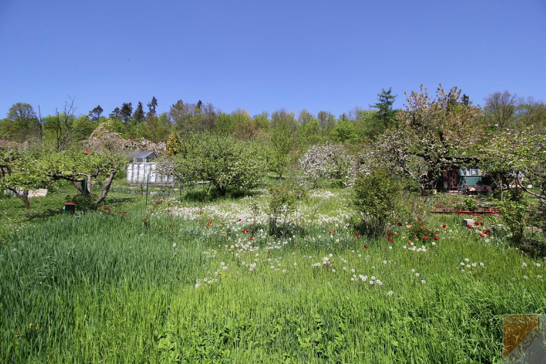 Prodej zahrady s chatkou, zahrádkářská osada ASTRA 4 Kadaň, obrázek č. 3